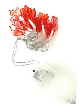 Greenbrier International Inc. 639277725479 Led Autumn Lights- 3 Ft. Indoor Lights With Battery Pack Batteries Not