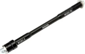 1.75tp Saris 012527018765 Standard Thru Axle Bike Adapter 1.0tp Or One Size Silver