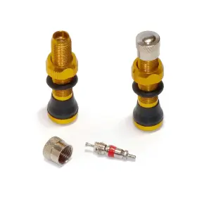 Fr-2048lbrasss Velotubes Tubeless Schrader Valve Stems - 40mm Gold