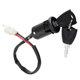 Wingsmoto 445030383397 Ignition Key Switch Lock 2 Wire - Starter Parts For Electric Trike An