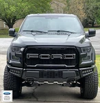 15-2020 Ford F-150 Paramount Aftermarket Grille Letter Outline Vinyl Decals F150. Fixed Price $39.99.