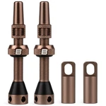 Bwshlf Tubeless Presta Valve Stem 40/44/55/60/65/70/80/100 44MM, Desert. Fixed Price $28.90.